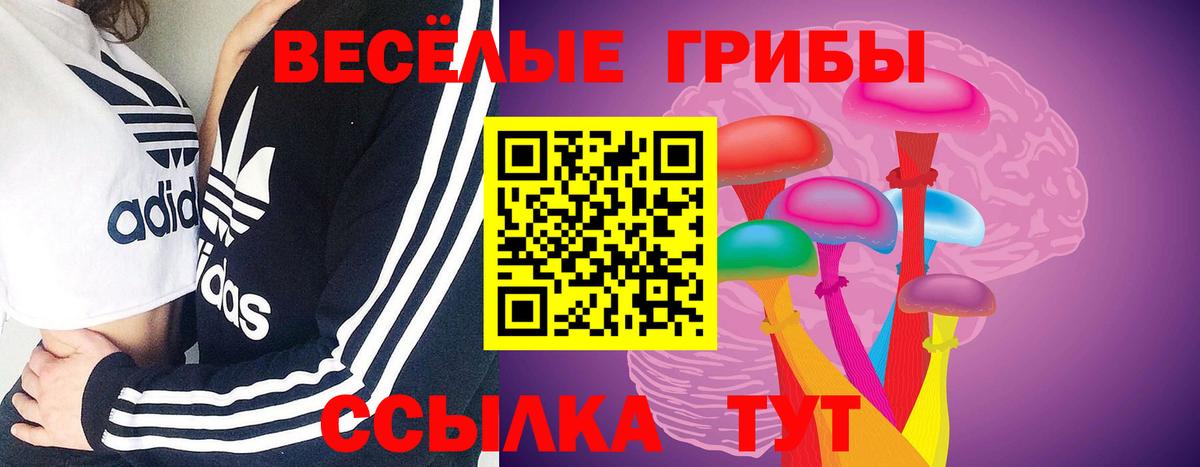 Галлюциногенные грибы MAGIC MUSHROOMS  Вход с VPN  Жигулёвск  Галлюциногенные грибы Psilocybine cubensis 
